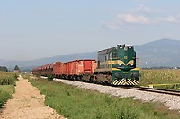 Image © Peter Rabijns