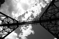 Image © Dennis A. Livesey-liveseyimages.com