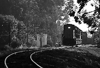 Image © Steven M. Welch