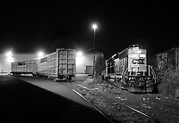 Image © Andrew Blaszczyk (2)