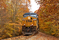 Image © Chase55671
