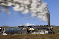 Image © Mitch Goldman