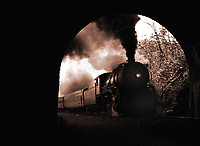Image © Andrew Blaszczyk (2)