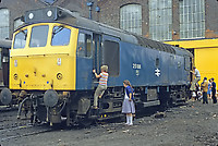 Image © Graham Williams