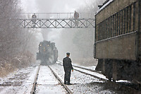 Image © Dennis A. Livesey-liveseyimages.com