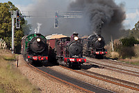 Image © Peter Reading