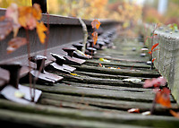 Image © Andrew Blaszczyk (2)