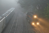 Image © Christopher Blaszczyk