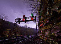 Image © Chase Gunnoe