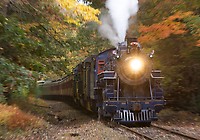 Image © Dennis A. Livesey-liveseyimages.com
