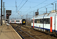 Image © Janusz Mrozek