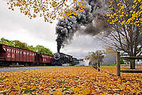 Image © Janusz Mrozek