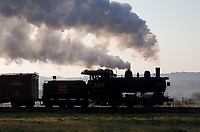 Image © Janusz Mrozek