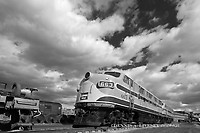 Image © Dennis A. Livesey