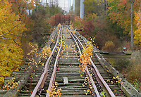 Image © Andrew Blaszczyk (2)
