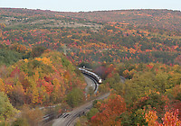 Image © Andrew Blaszczyk (2)