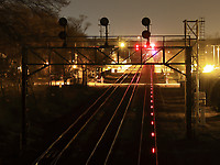 Image © Paul Hoffmann