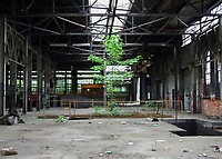 Image © Rob Kitchen