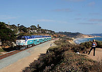 Image © Bob Pickering (BP)