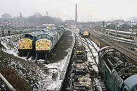 Image © Graham Williams