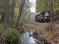 Image © Andrew Blaszczyk (2)
