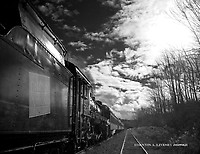 Image © Dennis A. Livesey