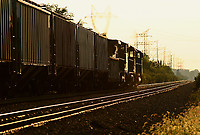 Image © C. Joseph Renella