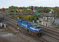 Image © Andrew Blaszczyk (2)