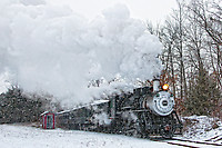 Image © Mitch Goldman