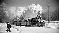 Image © Dennis A. Livesey