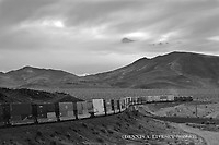 Image © Dennis A. Livesey