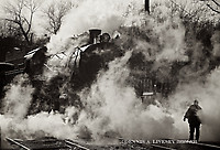 Image © Dennis A. Livesey