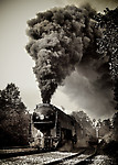 Image © Dennis A. Livesey