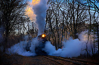 Image © Dennis A. Livesey