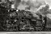 Image © Mitch Goldman