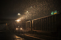 Image © Chase Gunnoe