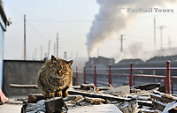 Image © FarRail Tours