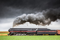 Image © Dennis A. Livesey
