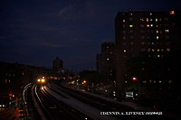 Image © Dennis A. Livesey