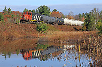 Click Here to see the photo!