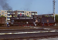 Click Here to see the photo!