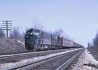 Click Here to see the photo!