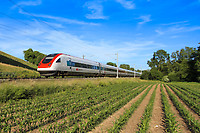 Click Here to see the photo!