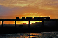 Click Here to see the photo!