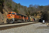 Click Here to see the photo!