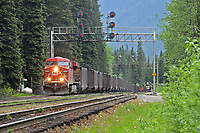 Click Here to see the photo!