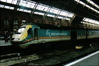 Click Here to see the photo!