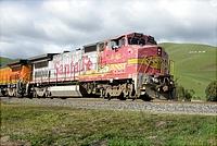 Click Here to see the photo!