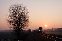 Click Here to see the photo!