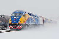 Click Here to see the photo!